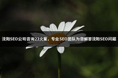 昭通seo公司咨詢7火星詳解:正規(guī)seo公司|2024年06月更新